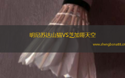 明尼蘇達(dá)山貓VS芝加哥天空