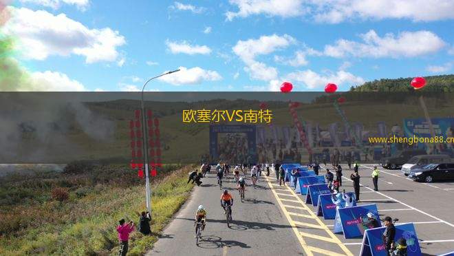 歐塞爾VS南特