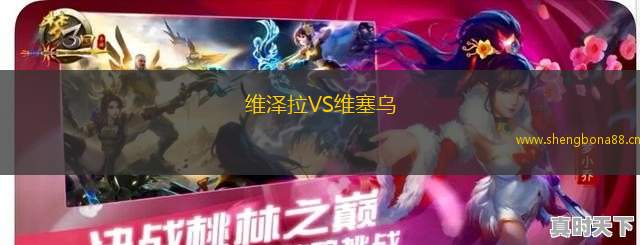 維澤拉VS維塞烏