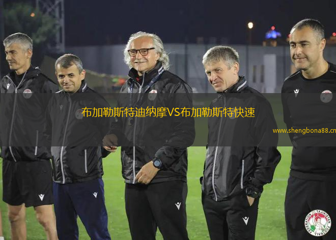 布加勒斯特迪納摩VS布加勒斯特快速