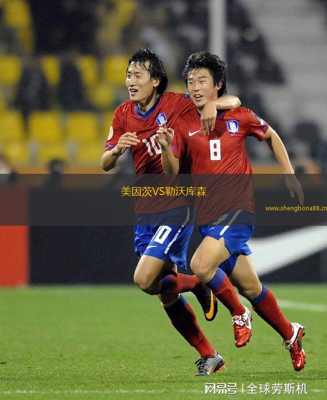 美因茨VS勒沃庫森