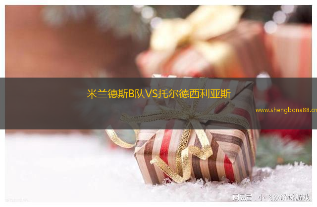 米蘭德斯B隊(duì)VS托爾德西利亞斯