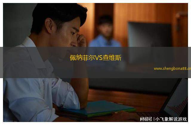 佩納菲爾VS查維斯