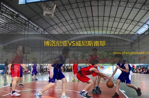 博洛尼亞VS威尼斯雷耶