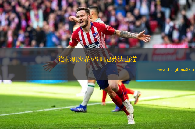洛杉磯火花VS明尼蘇達山貓
