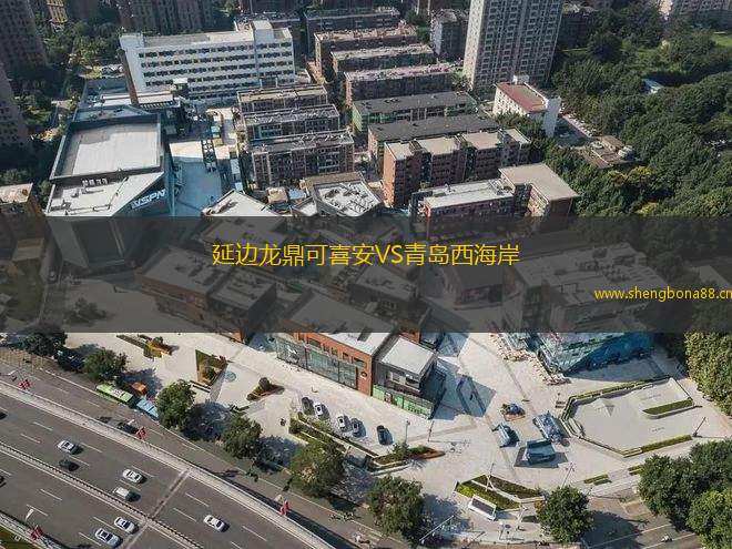 延邊龍鼎可喜安VS青島西海岸