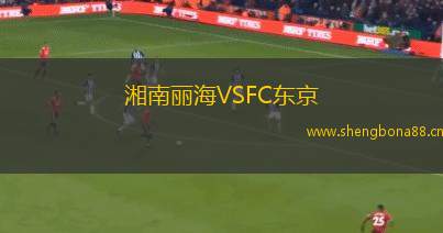 湘南麗海VSFC東京