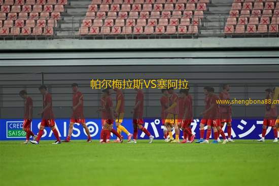 帕爾梅拉斯VS塞阿拉