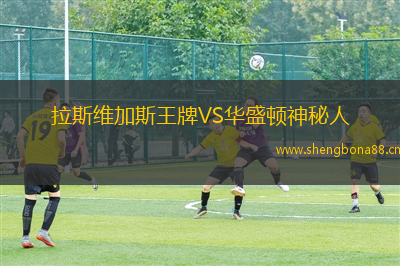 拉斯維加斯王牌VS華盛頓神秘人