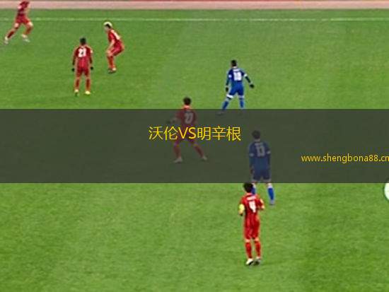 沃倫VS明辛根