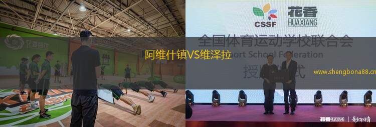 阿維什鎮(zhèn)VS維澤拉