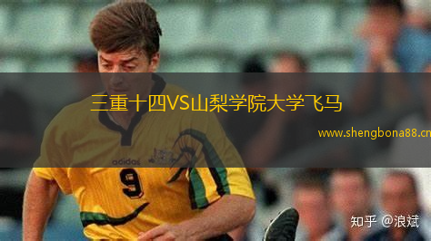 三重十四VS山梨學院大學飛馬