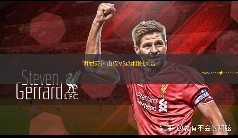 明尼蘇達(dá)山貓VS西雅圖風(fēng)暴