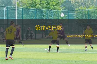 第戎VS巴黎