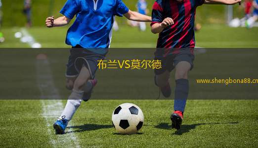 布蘭VS莫爾德