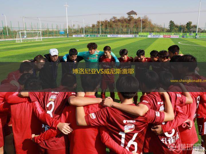 博洛尼亞VS威尼斯雷耶