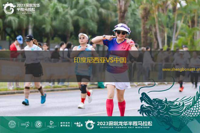 印度尼西亞VS中國