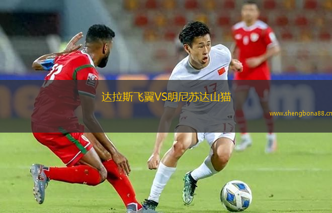 達拉斯飛翼VS明尼蘇達山貓