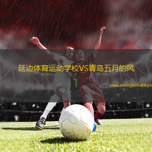 延邊體育運(yùn)動(dòng)學(xué)校VS青島五月的風(fēng)