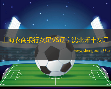 上海農(nóng)商銀行女足VS遼寧沈北禾豐女足