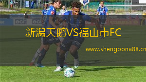 新潟天鵝VS福山市FC