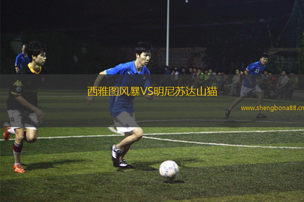 西雅圖風暴VS明尼蘇達山貓