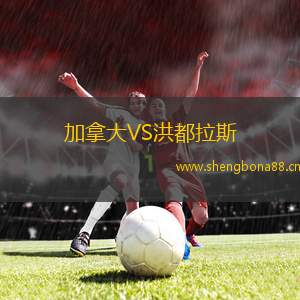 加拿大VS洪都拉斯