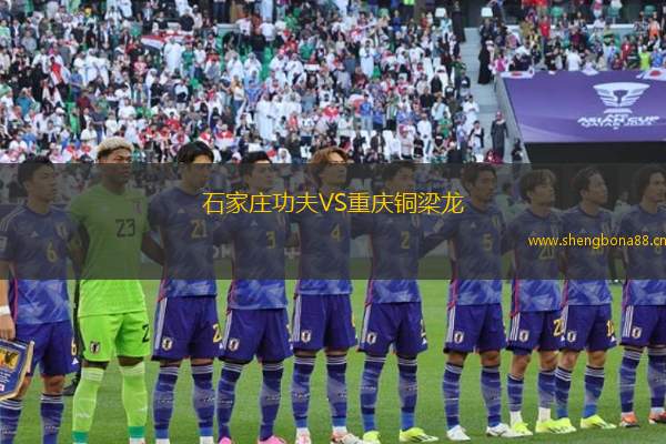 石家莊功夫VS重慶銅梁龍