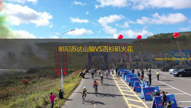 明尼蘇達山貓VS洛杉磯火花