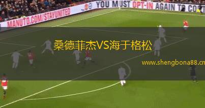 桑德菲杰VS海于格松