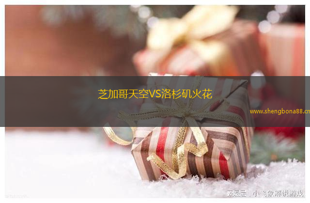 芝加哥天空VS洛杉磯火花