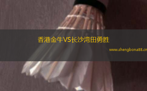 香港金牛VS長沙灣田勇勝