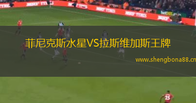 菲尼克斯水星VS拉斯維加斯王牌