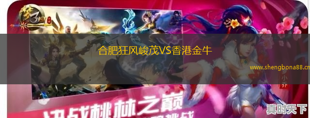 合肥狂風峻茂VS香港金牛