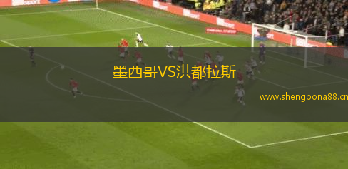 墨西哥VS洪都拉斯