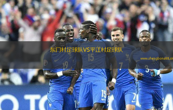 東門村足球隊VS平江村足球隊