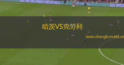 哈茨VS克勞利