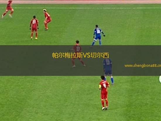 帕爾梅拉斯VS切爾西