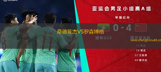 桑德菲杰VS羅森博格