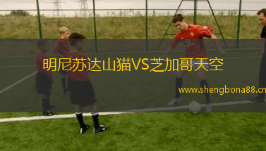 明尼蘇達山貓VS芝加哥天空