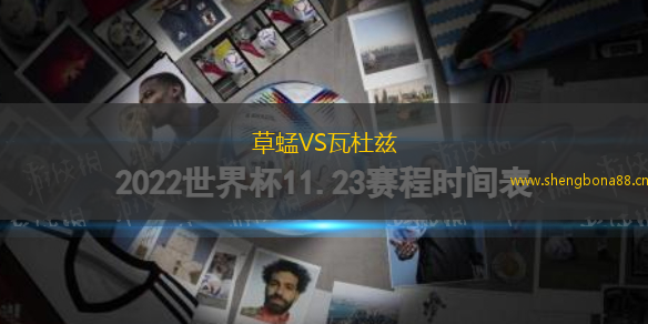 草蜢VS瓦杜茲