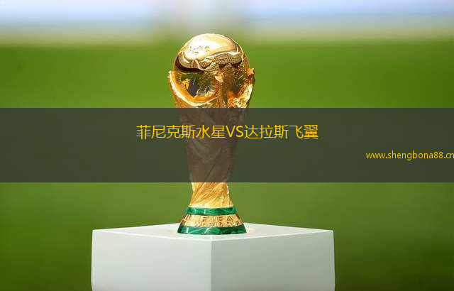 菲尼克斯水星VS達(dá)拉斯飛翼