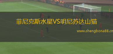 菲尼克斯水星VS明尼蘇達山貓