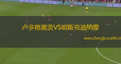 盧多格雷茨VS明斯克迪納摩