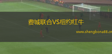 費城聯(lián)合VS紐約紅牛