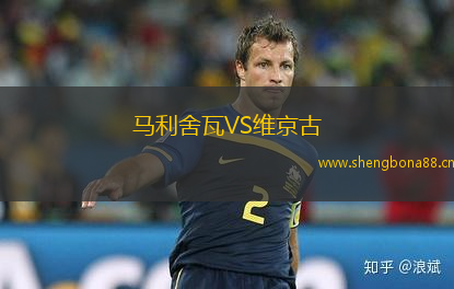 馬利舍瓦VS維京古