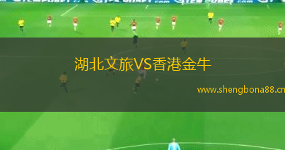 湖北文旅VS香港金牛