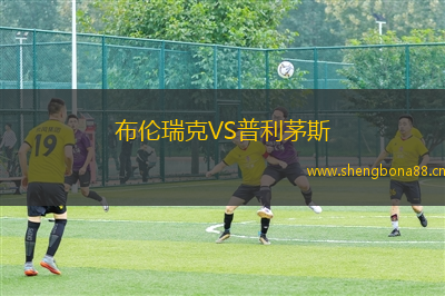 布倫瑞克VS普利茅斯
