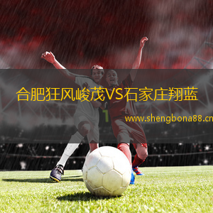 合肥狂風(fēng)峻茂VS石家莊翔藍(lán)
