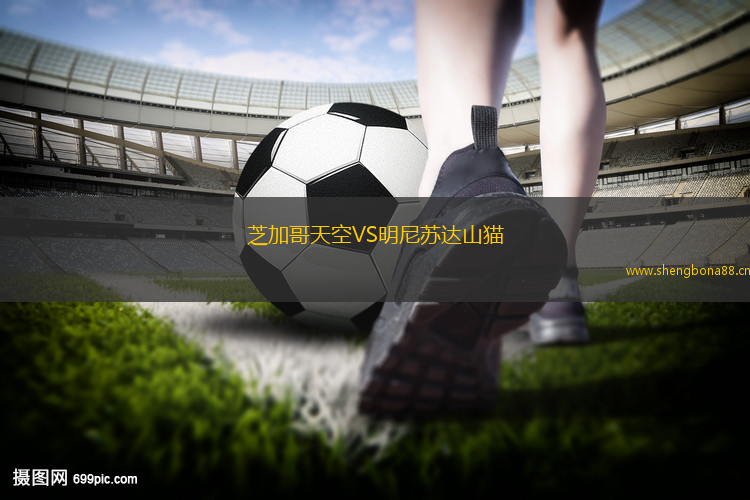 芝加哥天空VS明尼蘇達山貓